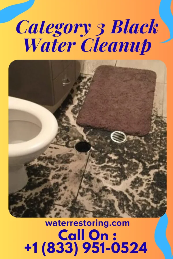 Category 3 Black Water Cleanup in Comstock, MN