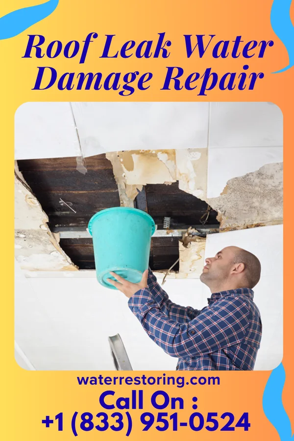 Roof Leak Water Damage Repair in Comstock, MN